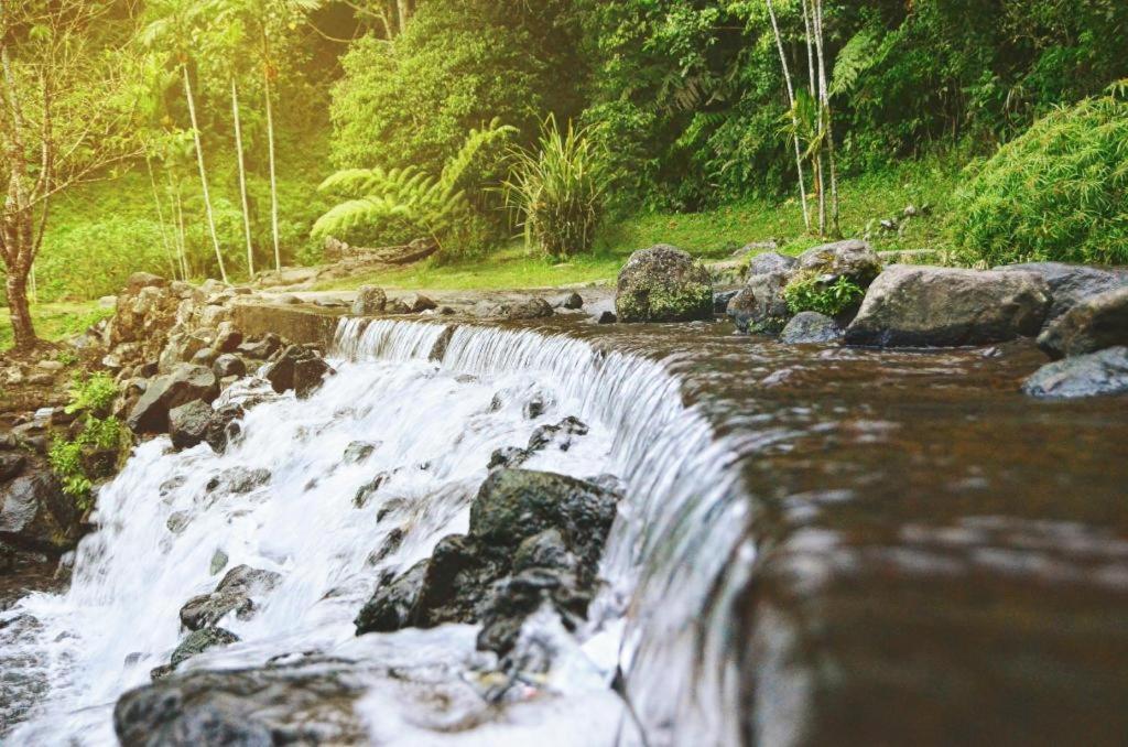 Arra Lembah Pinus Ξενοδοχείο Puncak Εξωτερικό φωτογραφία